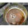 Фото прикол  про пиво, улыбку игра воображения
